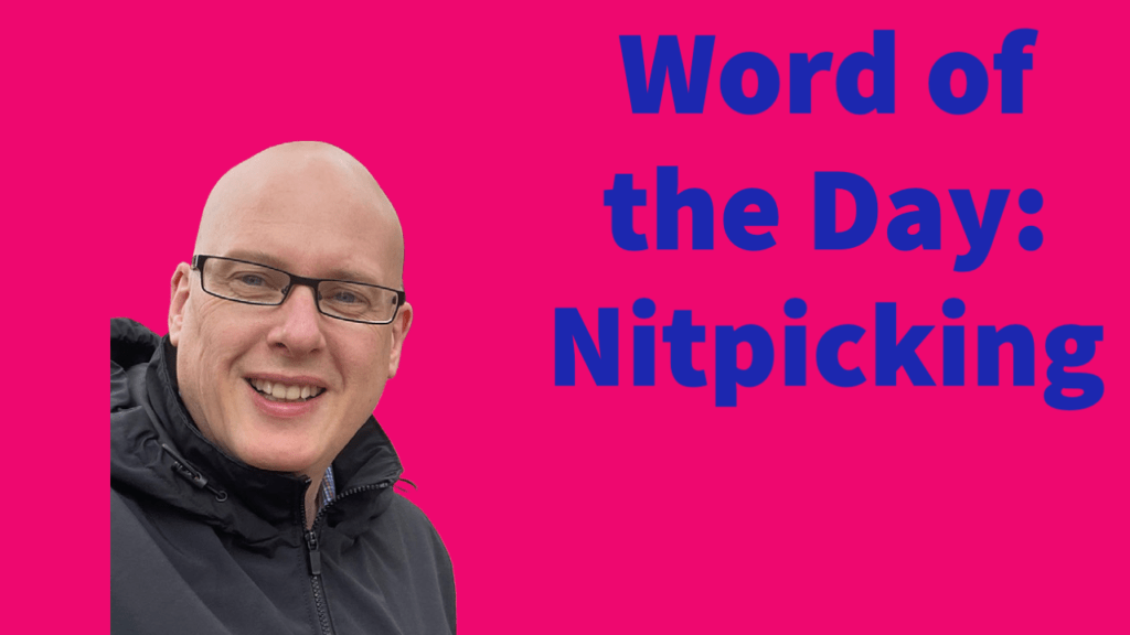 Word of the day: Nitpicking