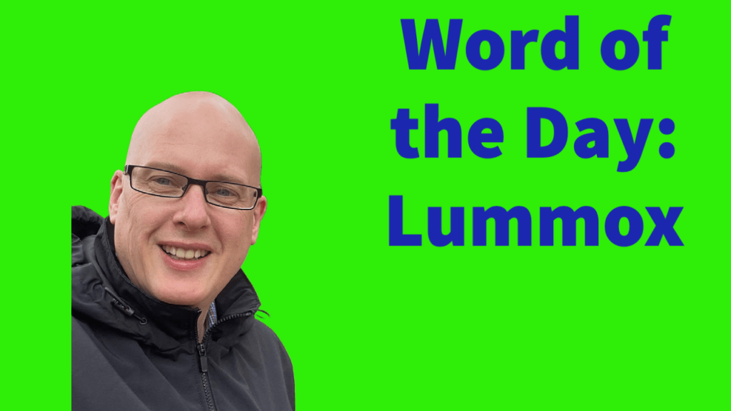 Word of the day: Lummox