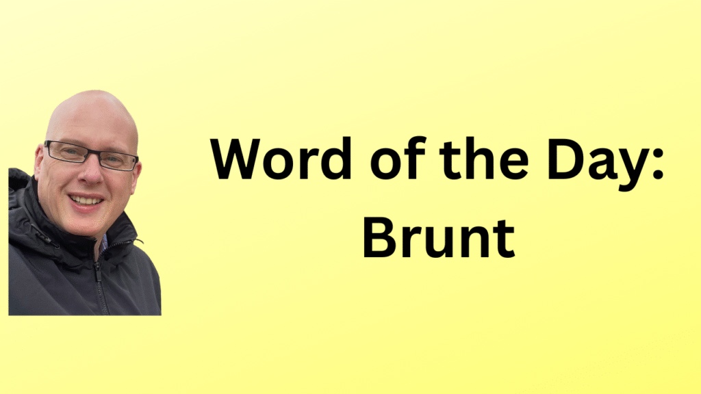 Word of the Day: Brunt