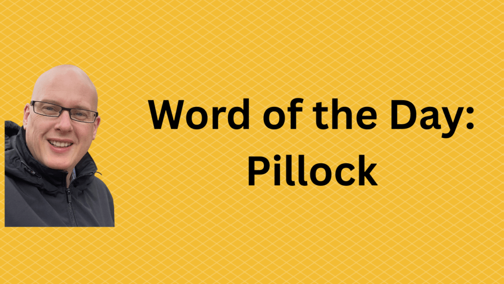 Word of the day: Pillock