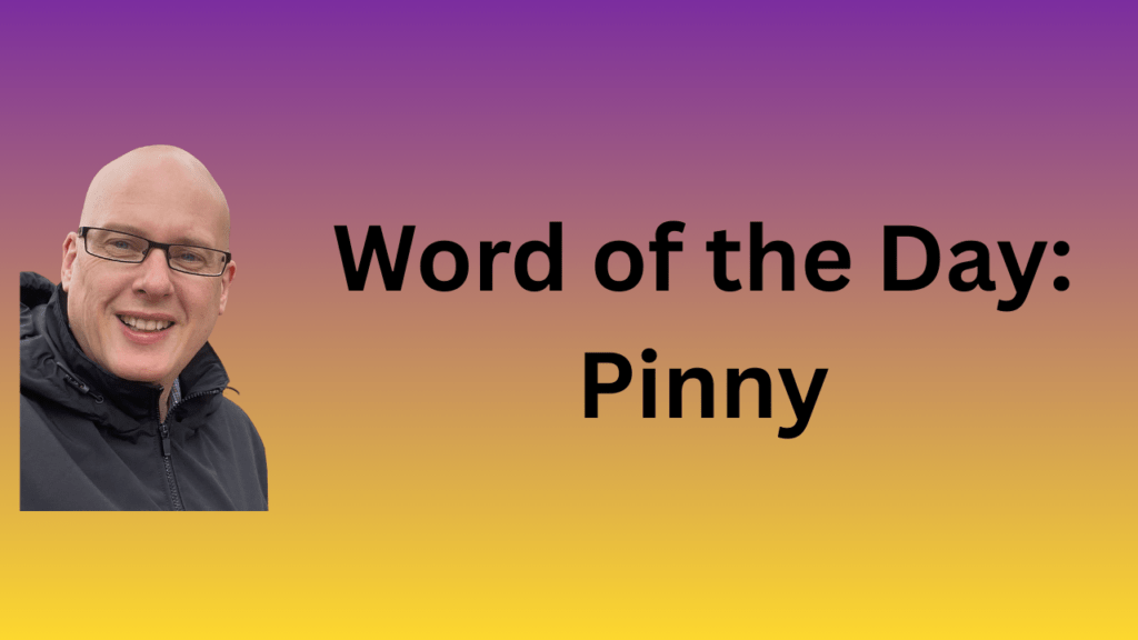 Word of the day: Pinny