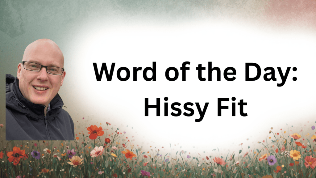 Word of the Day: Hissy Fit