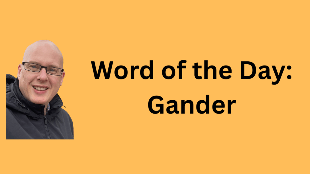 word of the day: gander