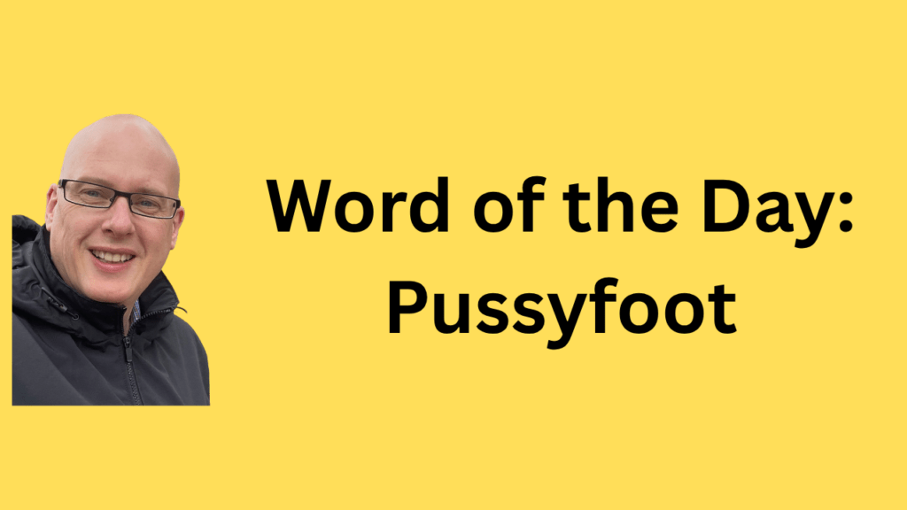 word of the day: pussyfoot